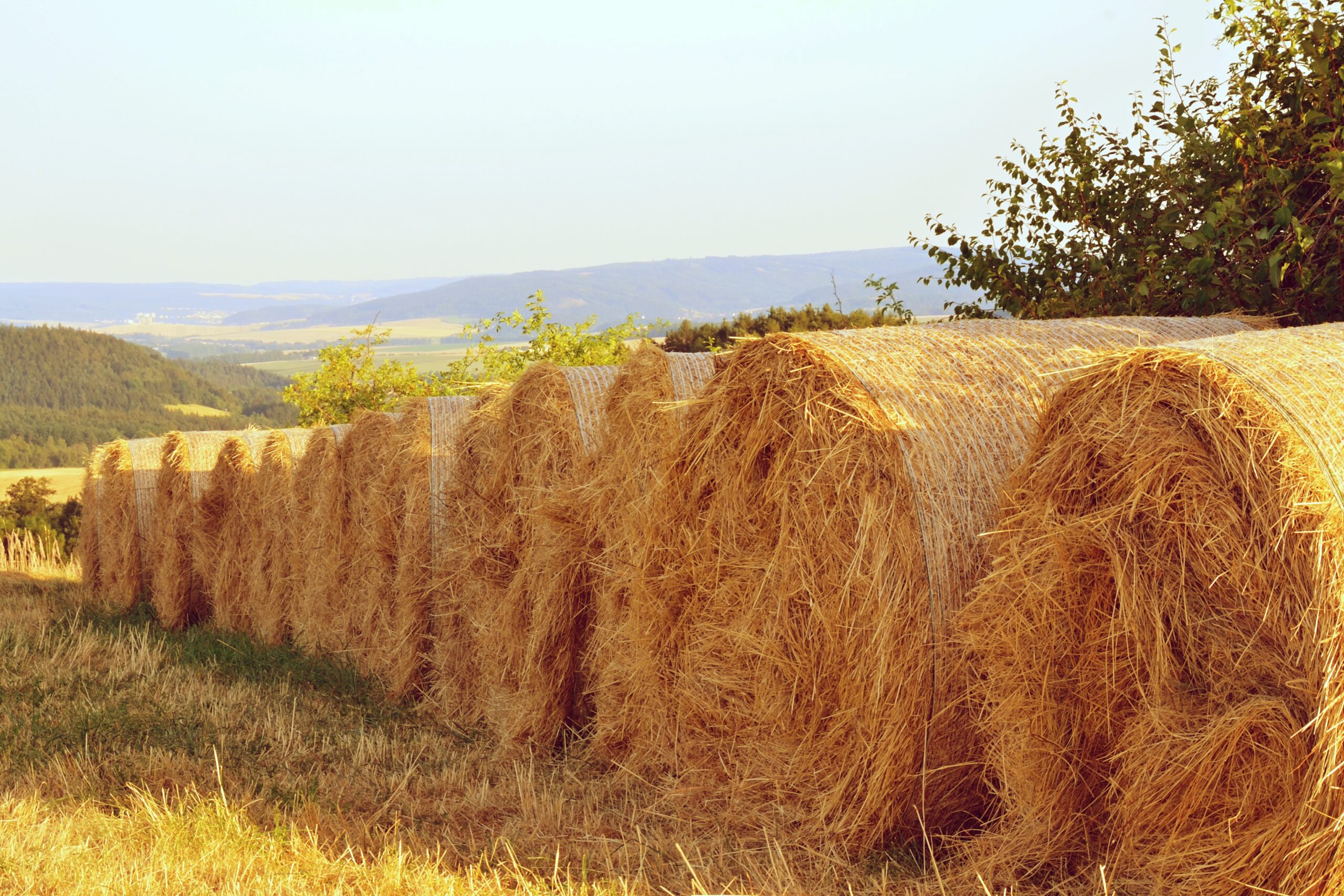 The Story Behind Gigone’s  Future of Agricultural Storage