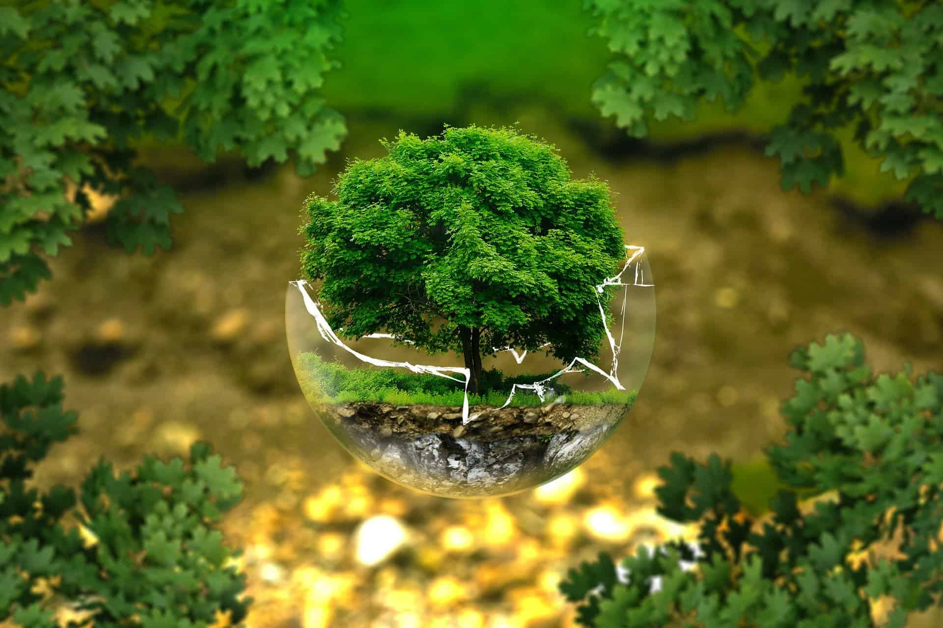 Waste Reduction And Recycling: A Core Focus At Gigone